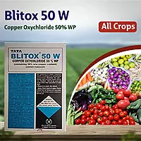 Blitox Fungicide