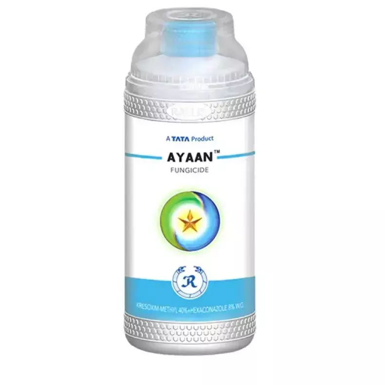 Ayaan Fungicide-(Rallis Crop Protection)