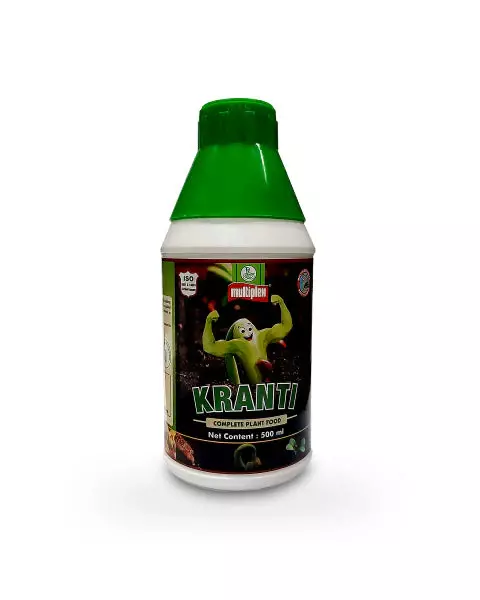 pothos potting mix Pothos Growing Soil Mix – Custom Soil Blend – Potting Mix for Pothos P –  Wekiva Foliage main image 0